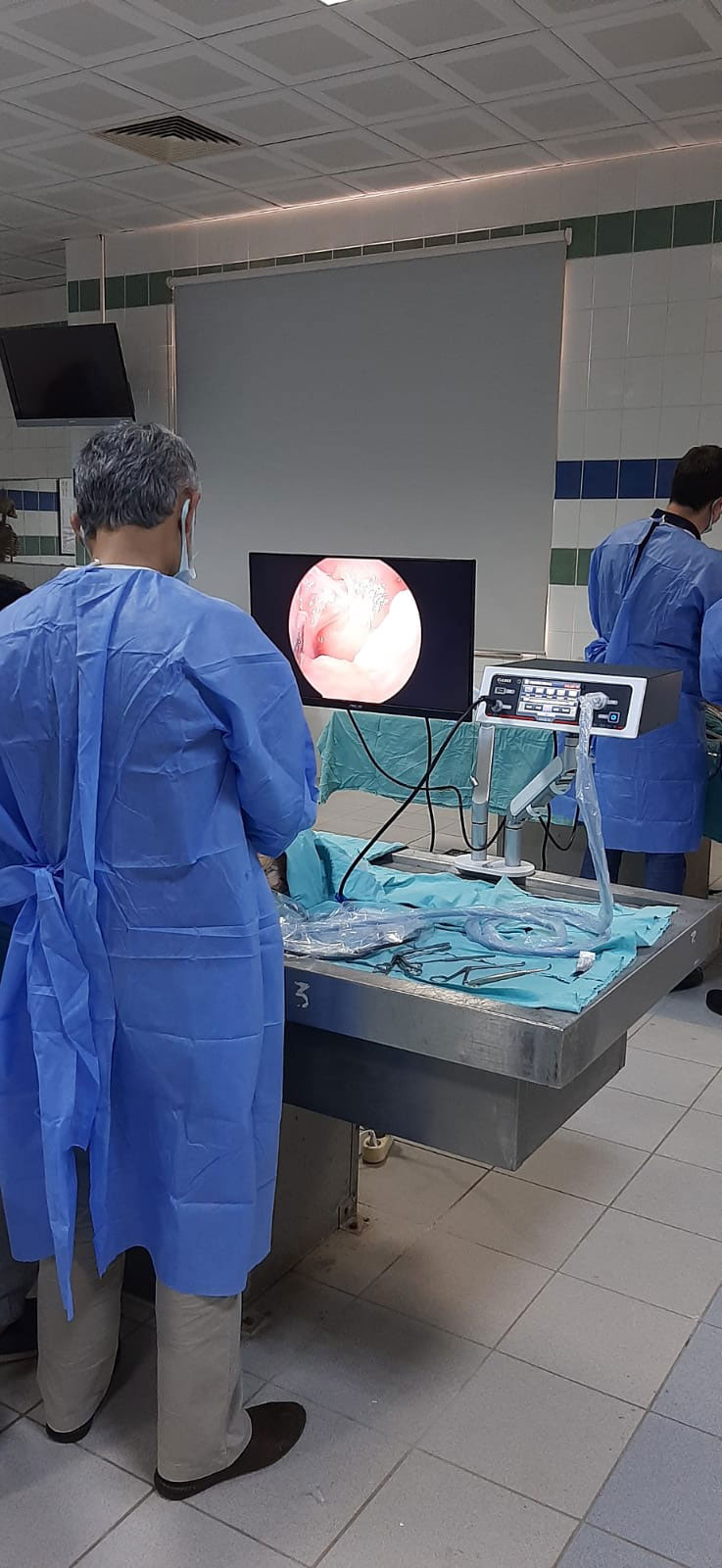 2022 AKDENIZ UNIVERSITY CADAVER DISSECTION COURSE