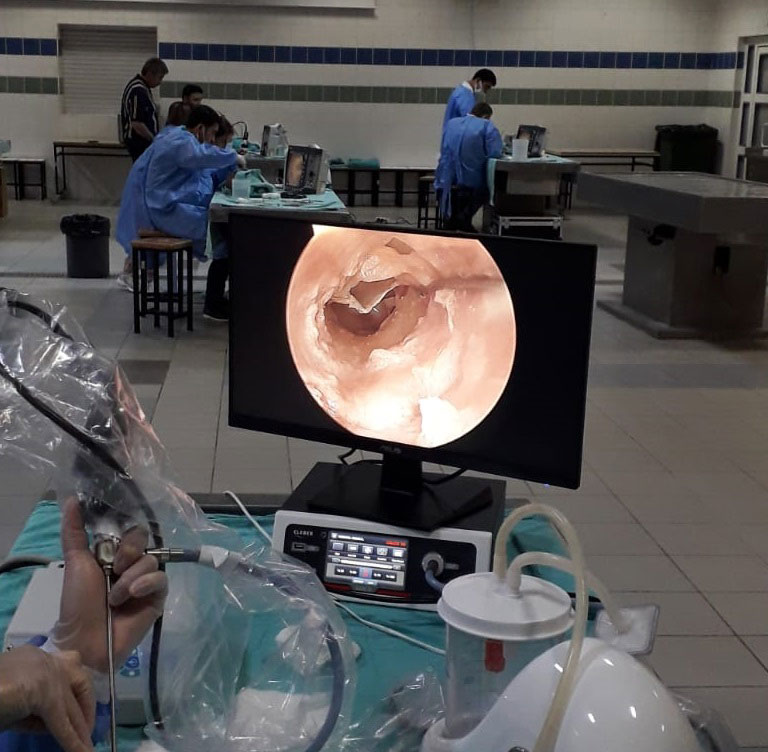 MEDOSEL STRENGTHENS ITS COMMITMENT TO EDUCATION AT THE 2023 AKDENIZ UNIVERSITY CADAVER DISSECTION COURSE