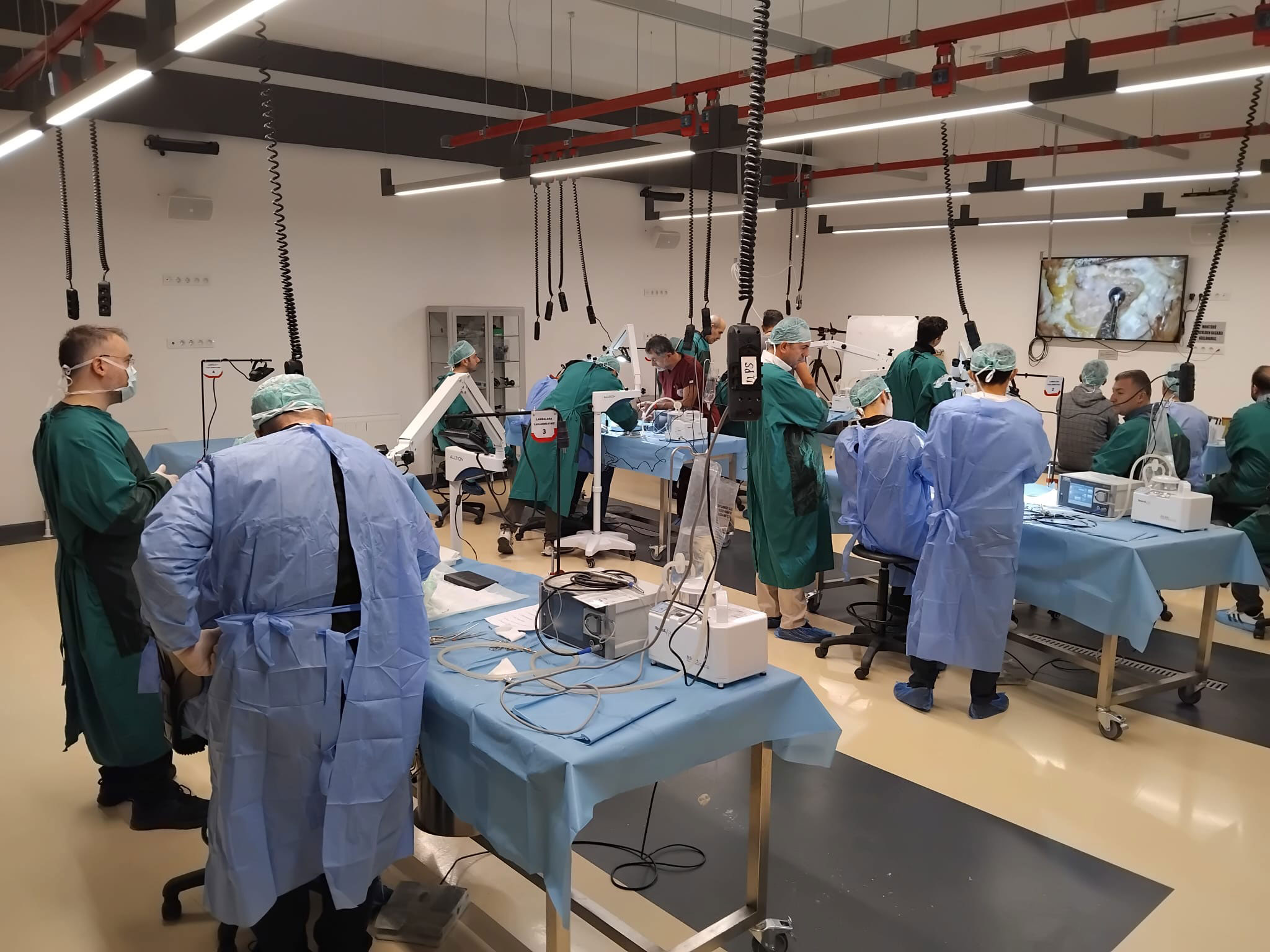 MEDOSEL AT THE 2024 ANKARA TORLAK CADAVER DISSECTION COURSE: CONTINUING THE LEGACY OF INNOVATION AND EDUCATION
